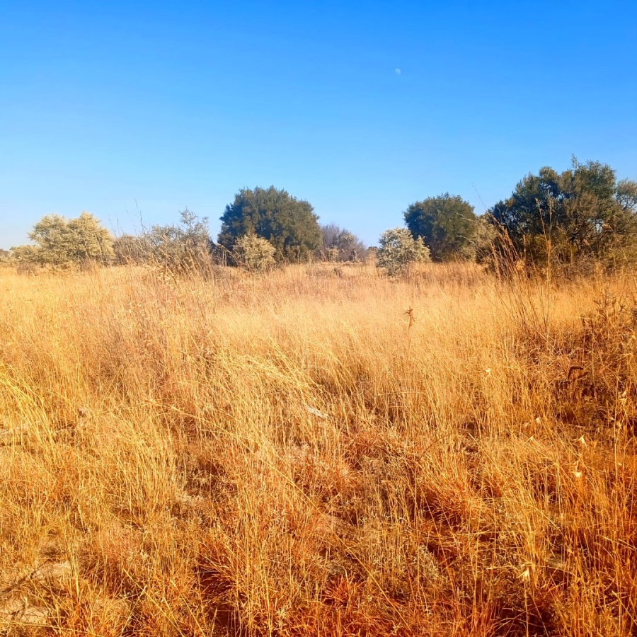 Commercial Property for Sale in Reivilo Northern Cape